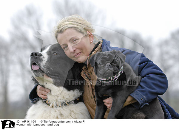 Frau mit Landseer und Mops / woman with Landseer and pug / AP-01194