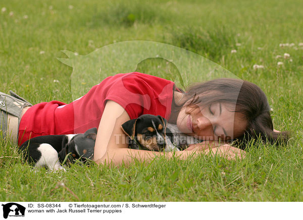 junge Frau mit Jack Russell Terrier Welpen / woman with Jack Russell Terrier puppies / SS-08344