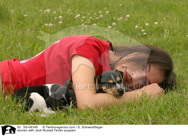 junge Frau mit Jack Russell Terrier Welpen / woman with Jack Russell Terrier puppies / SS-08346