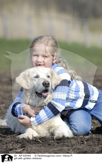 Mdchen mit Golden Retriever / girl with golden retriever / AP-02449