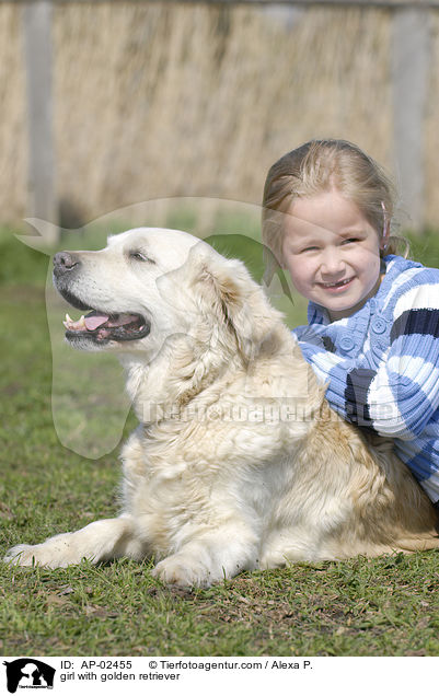 Mdchen mit Golden Retriever / girl with golden retriever / AP-02455