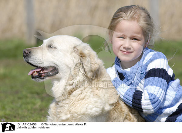 Mdchen mit Golden Retriever / girl with golden retriever / AP-02456