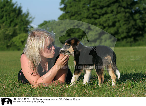 Frau mit Border-Collie-Mischling Welpe / woman with mongrel puppy / SS-14528