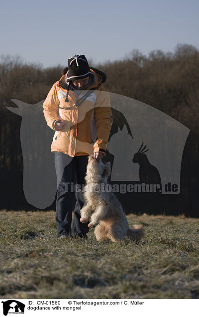 Dogdance mit Tibet-Terrier-Sheltie-Mischling / dogdance with mongrel / CM-01560