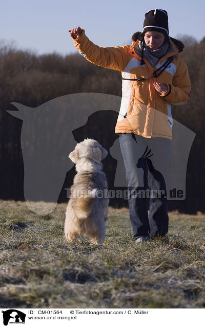 Frau und Tibet-Terrier-Sheltie-Mischling / woman and mongrel / CM-01564
