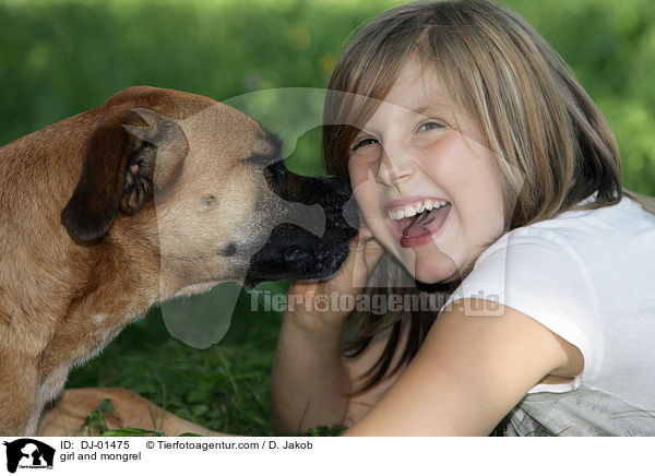 Mdchen und Boxer-Mix / girl and mongrel / DJ-01475