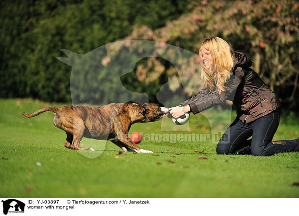 Frau mit Boxer-Mix / woman with mongrel / YJ-03897