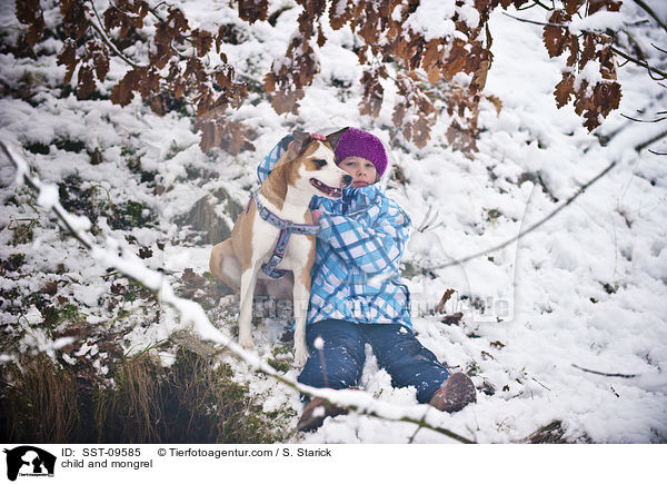 Kind und Dogo-Argentino-Mix / child and mongrel / SST-09585