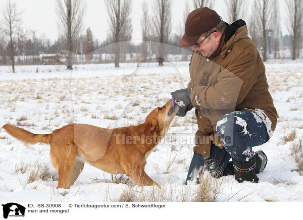 Mann und Golden-Retriever-Terrier-Mix / man and mongrel / SS-30908