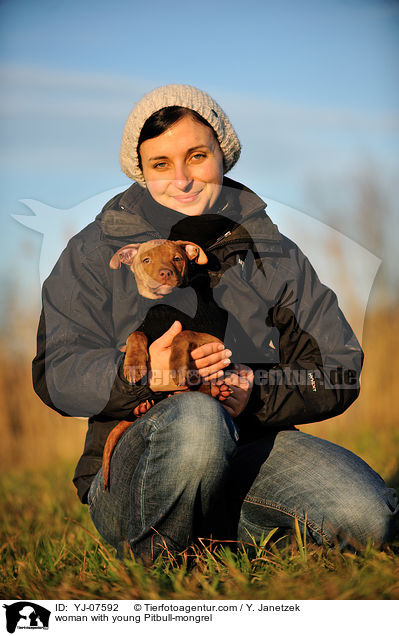 Frau mit jungem Pitbull-Mix / woman with young Pitbull-mongrel / YJ-07592