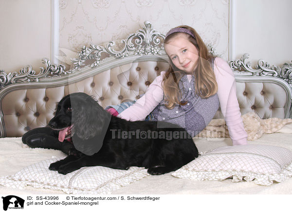 Mdchen und Cocker-Spaniel-Mischling / girl and Cocker-Spaniel-mongrel / SS-43996