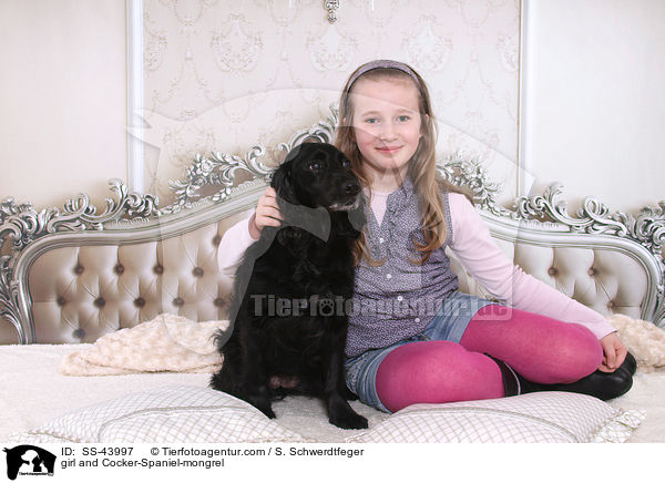 Mdchen und Cocker-Spaniel-Mischling / girl and Cocker-Spaniel-mongrel / SS-43997