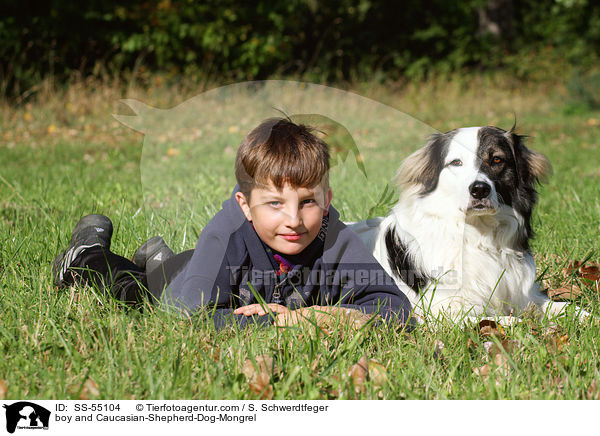 Junge und Kaukasischer-Schferhund-Mischling / boy and Caucasian-Shepherd-Dog-Mongrel / SS-55104