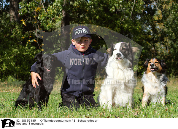 Junge und 3 Mischlinge / boy and 3 mongrels / SS-55185