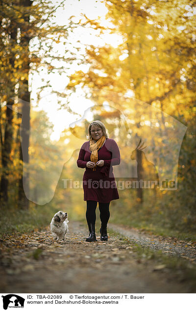 Frau und Dackel-Bolonka-zwetna / woman and Dachshund-Bolonka-zwetna / TBA-02089