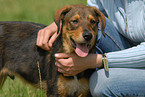 woman with dog