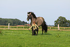 girl with horse