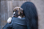 German-Boxer-Mongrel Puppy