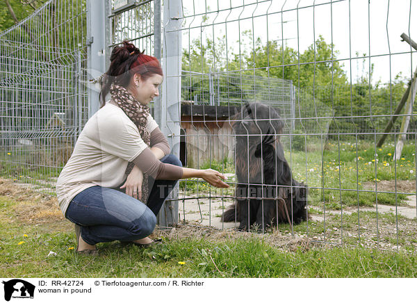 woman in pound / RR-42724