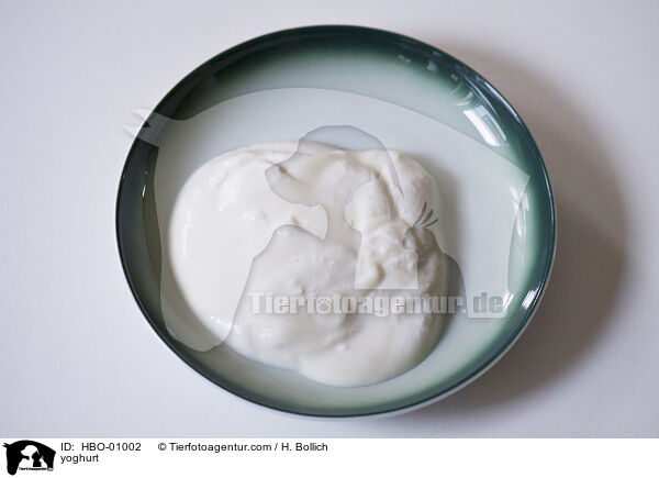 Joghurt / yoghurt / HBO-01002
