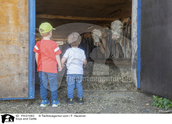 Jungs und Rinder / boys and Cattle / FH-01083