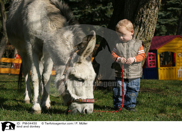 Kind und Esel / kind and donkey / PM-04450