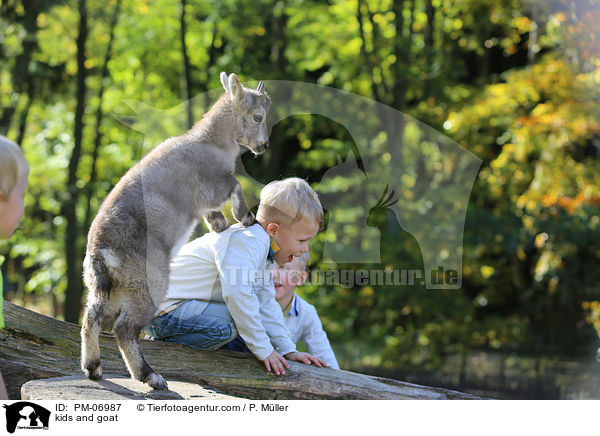 Ziege und Kinder / kids and goat / PM-06987