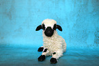 Valais Blacknose lamb