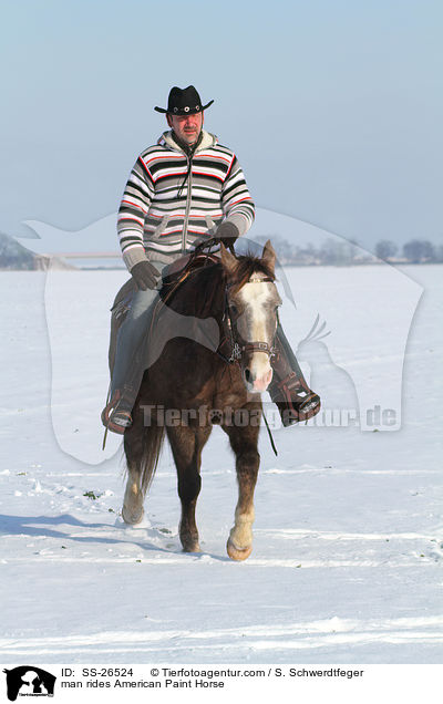 Mann reitet American Paint Horse / man rides American Paint Horse / SS-26524