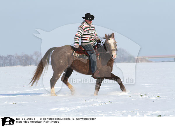 Mann reitet American Paint Horse / man rides American Paint Horse / SS-26531