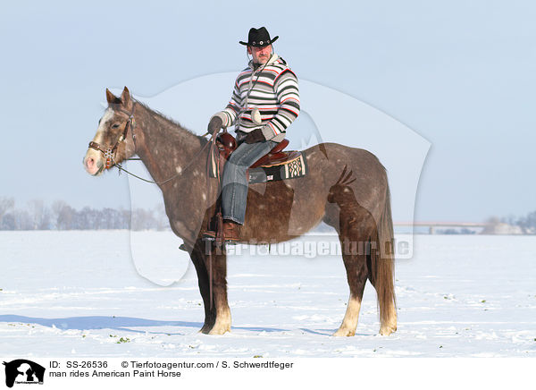 man rides American Paint Horse / SS-26536