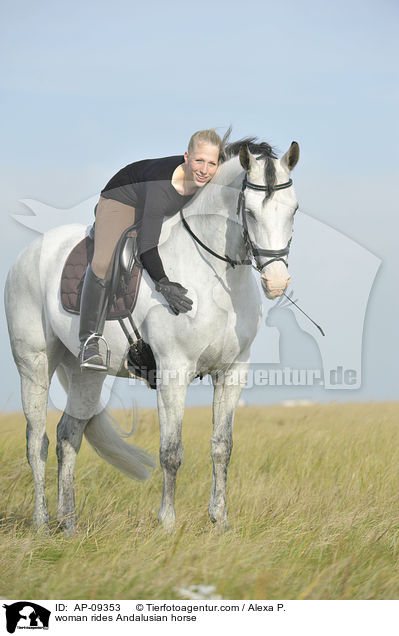 Frau reitet Andalusier / woman rides Andalusian horse / AP-09353