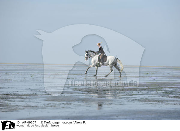 Frau reitet Andalusier / woman rides Andalusian horse / AP-09357