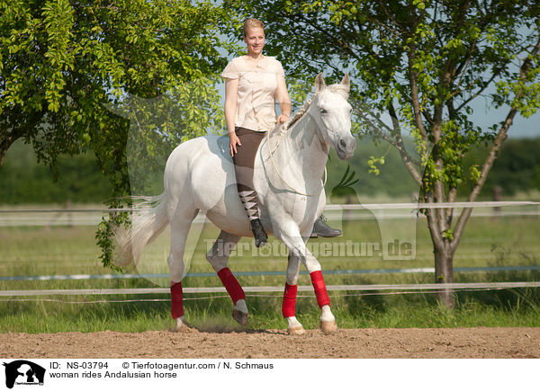 Frau reitet Andalusier / woman rides Andalusian horse / NS-03794