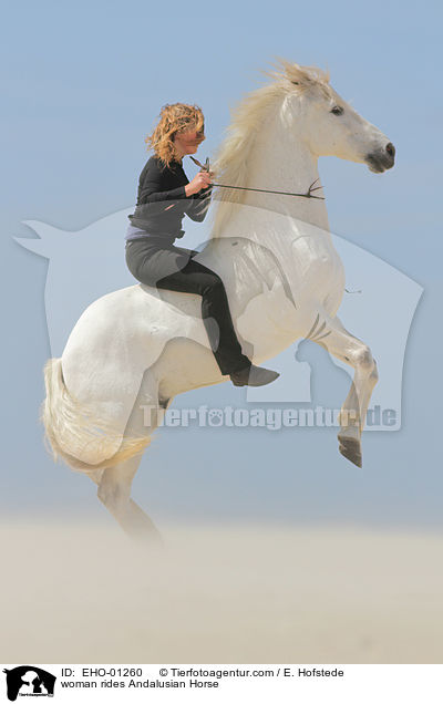 woman rides Andalusian Horse / EHO-01260