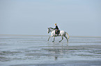 woman rides Andalusian horse