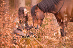 woman and Andalusian Horse