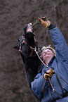 woman and Appaloosa