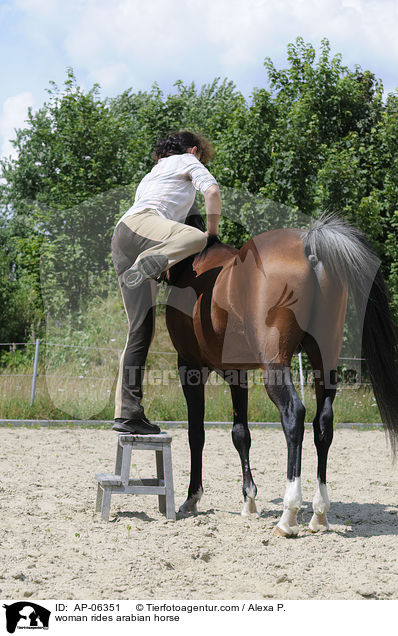 Frau reitet Araber / woman rides arabian horse / AP-06351