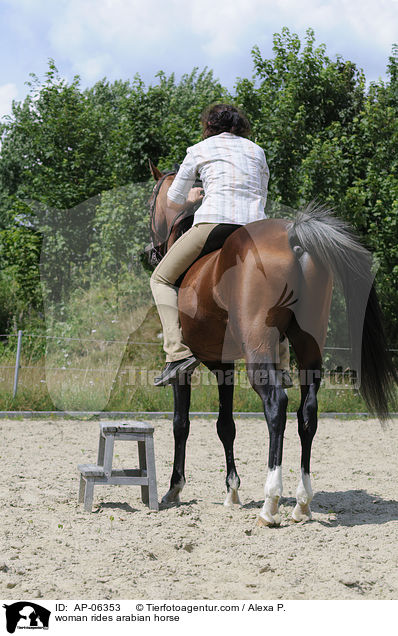 Frau reitet Araber / woman rides arabian horse / AP-06353