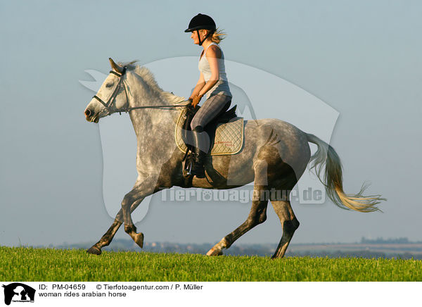 Frau reitet Araber / woman rides arabian horse / PM-04659