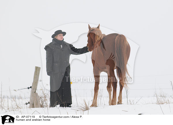 Mensch und Araber / human and arabian horse / AP-07119