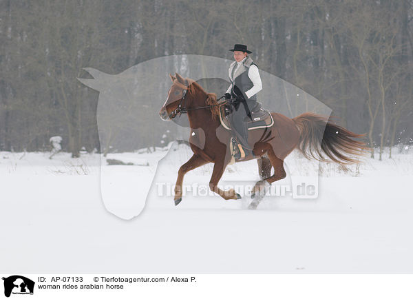 Frau reitet Araber / woman rides arabian horse / AP-07133