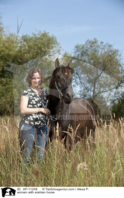 Frau mit Araber / woman with arabian horse / AP-11246