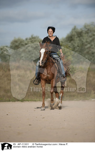 Frau reitet Araber / woman rides arabian horse / AP-11331