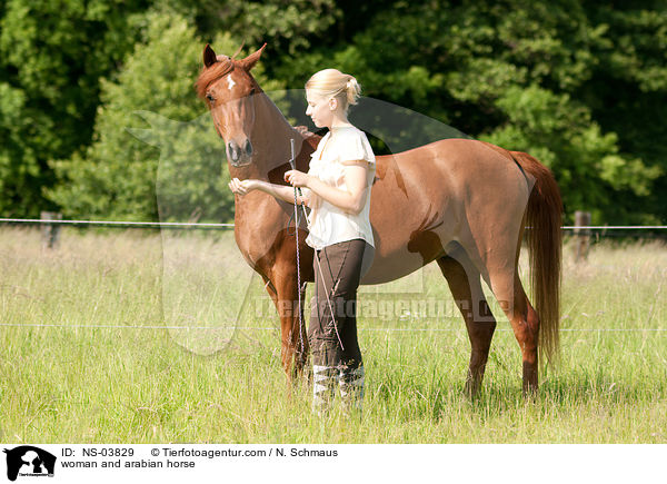 Frau und Araber / woman and arabian horse / NS-03829