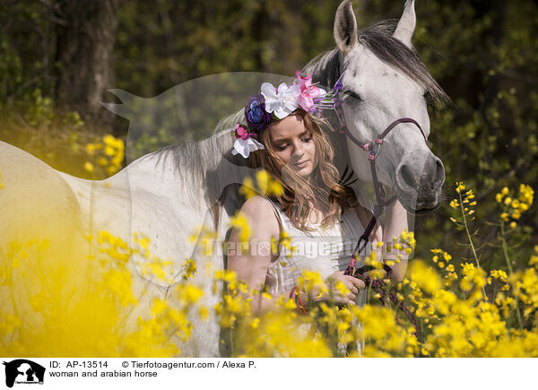 Frau und Araber / woman and arabian horse / AP-13514