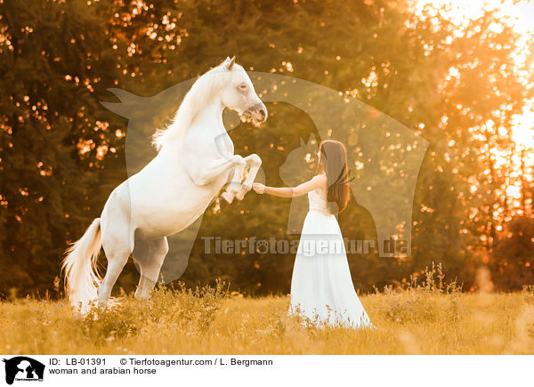 woman and arabian horse / LB-01391