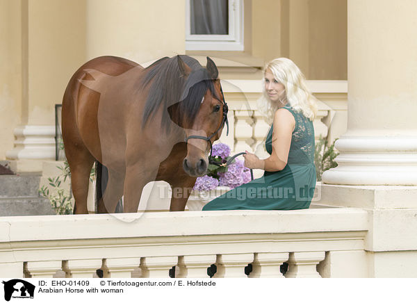 Araber mit Frau / Arabian Horse with woman / EHO-01409