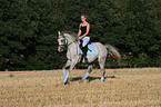 woman rides arabian horse